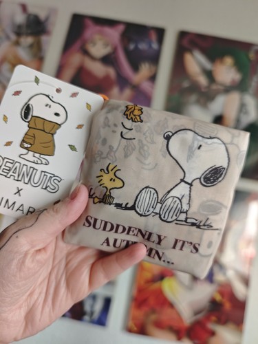Snoopy faltbare einkaufstasche - snoopy,